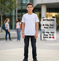 Футболка Ibambino T2-2 white - делук