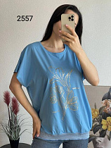 Футболка Fsn 2557 l.blue - делук