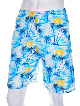 Шорты Meisty 777-7 blue - делук