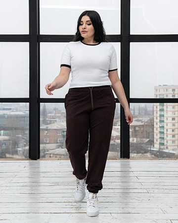 Штаны Спорт Azna БЗ53 brown - делук