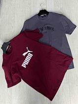 Футболка Zalov ZV198 grey - делук