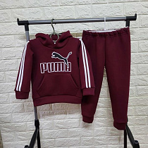 Костюм Спорт Proschenko PR594 wine - делук