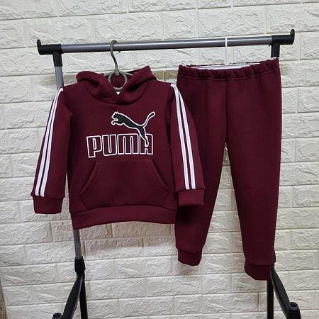 Костюм Спорт Proschenko PR594 wine - делук