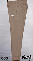 Штаны Спорт Azt AZ735-003 beige - делук