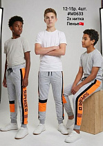 Штаны Спорт Amz M0633 grey - делук