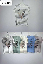 Футболка Liopt 26-01 mix - делук