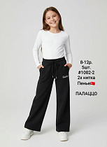 Штаны Спорт Amz 1002-2 black - делук