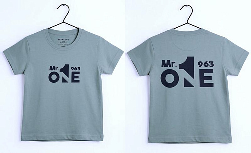 Футболка Dino DN330 grey - делук