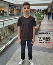 Футболка Ibambino T264-3 brown - делук