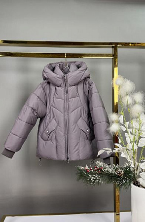 Куртка Delfinka 24 grey - делук