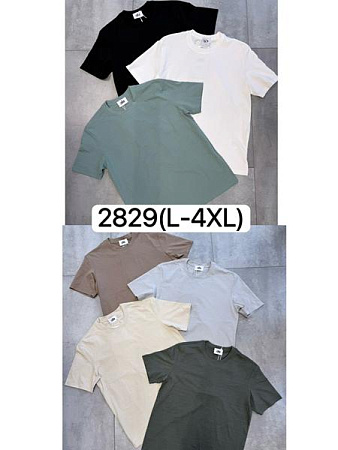 Футболка Ale-Ate 2829 black - делук