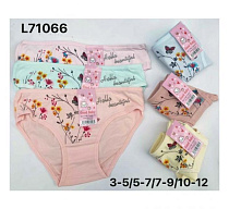 Трусы Redoor L71066 mix (7-9) - делук