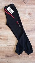 Штаны Спорт Webi 10-66 navy - делук