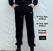 Штаны Спорт Amz 192-2 navy - делук