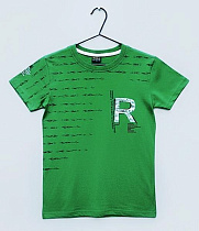 Футболка Dino DN337 green - делук