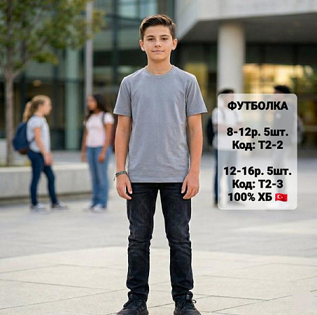 Футболка Ibambino T2-2 l.grey - делук