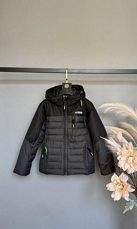 Куртка Delfinka A17 grey - делук