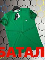 Футболка Alex Clothes 4391 green - делук