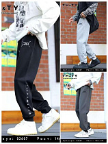 Штаны Спорт Delfinka 02607 l.grey - делук