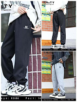 Штаны Спорт Delfinka 02606 grey - делук