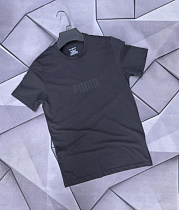 Футболка Rassul 66366 grey - делук