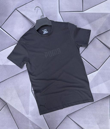 Футболка Rassul 66366 grey - делук