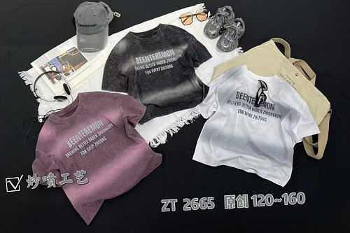 Футболка Delfinka 2665 powder - делук