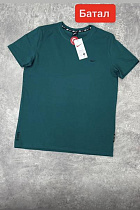 Футболка Alex Clothes 13811 green - делук