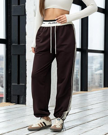 Штаны Спорт Azna Б29 brown - делук