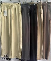 Штаны Minh 103 d.beige - делук
