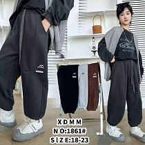 Штаны Спорт Farbique 1861 l.grey - делук