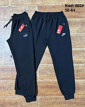 Штаны Спорт Ayden 002P black - делук