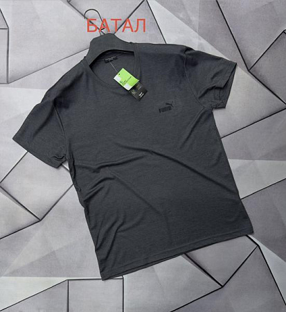 Футболка Rassul 68243 grey - делук