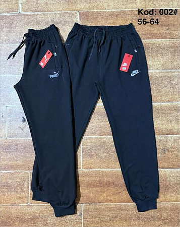 Штаны Спорт Ayden 002P black - делук