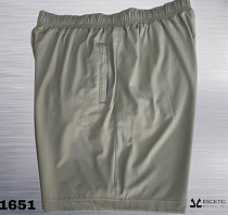Шорты Azt AZ891-1651 mint - делук