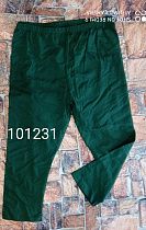 Бриджи Vehuiah 101231 green (5XL) - делук