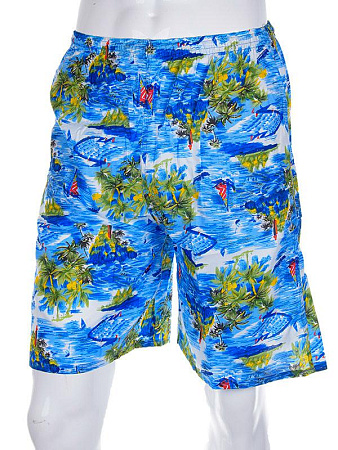 Шорты Meisty 777-3 blue - делук