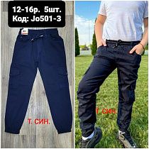 Джоггеры Amz JO501-3 navy - делук