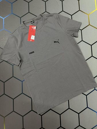 Футболка Alex Clothes 4313 grey - делук