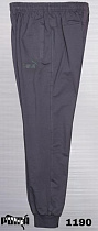 Штаны Спорт Azt AZ383-1190 grey - делук