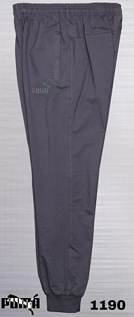 Штаны Спорт Azt AZ383-1190 grey - делук