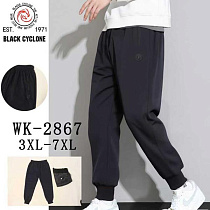 Штаны Спорт Hoan 2867 black - делук