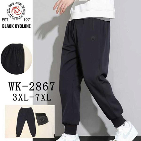 Штаны Спорт Hoan 2867 black - делук