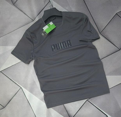 Футболка Rassul 67713 grey - делук