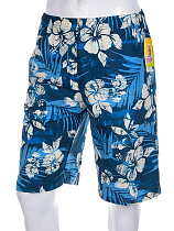 Шорты Meisty 120541 blue - делук