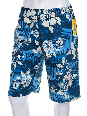 Шорты Meisty 120541 blue - делук