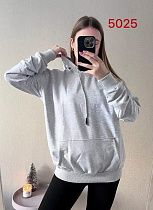Худи Fsn 5025 grey - делук