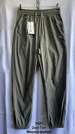 Штаны Спорт Minh MH590 khaki - делук