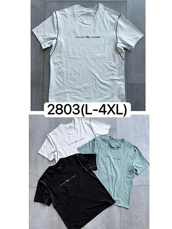 Футболка Ale-Ate 2803 mint - делук