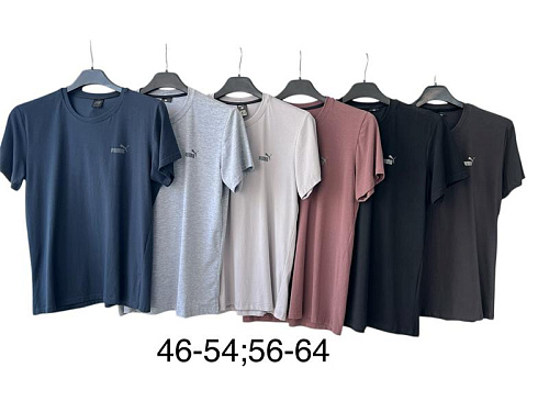 Футболка Tran TR1206 d.beige - делук